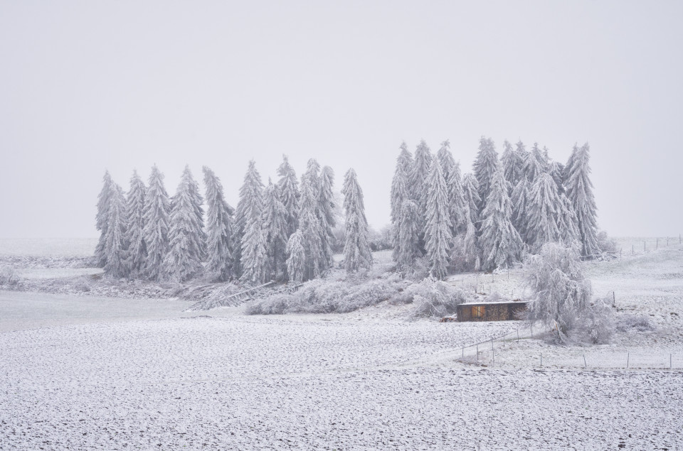 Erster Schnee bei Zainingen