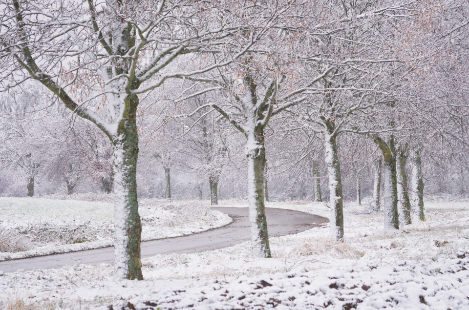 Erster Schnee bei Zainingen