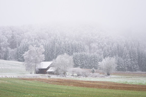 Schneegrenze am Römerstein