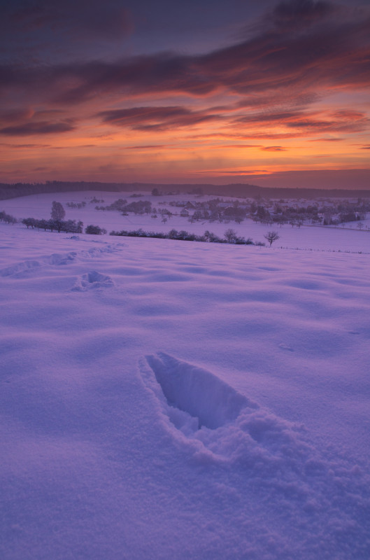 Wintermorgen bei Erstetten