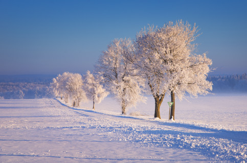 Winterlandschaft bei Hausen ob Urspring