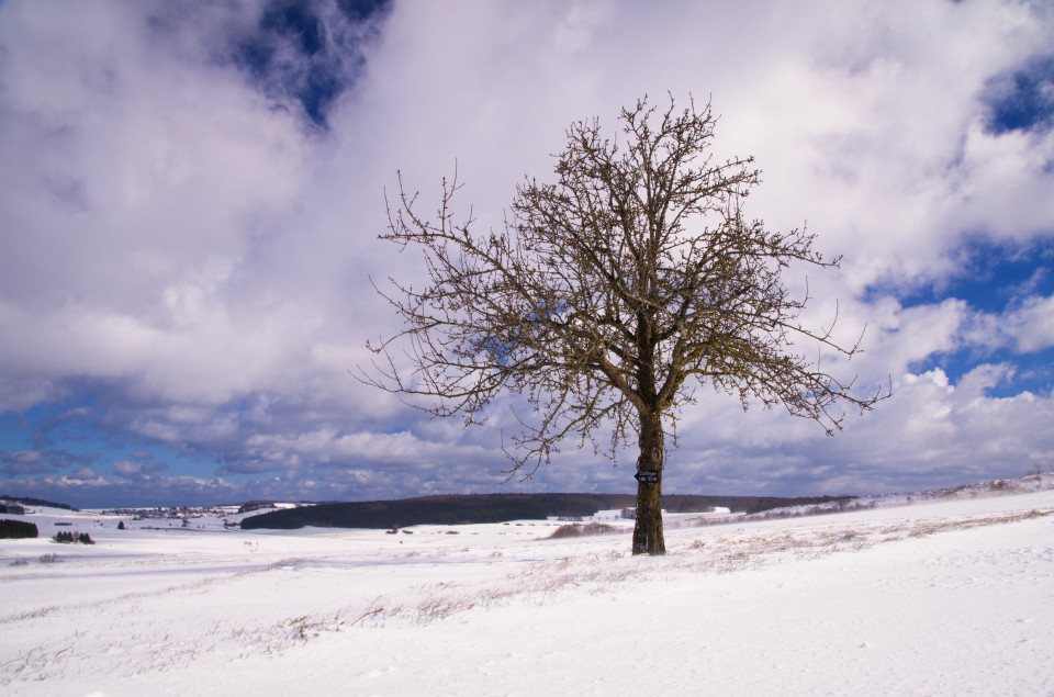 Neuschnee bei Zainingen