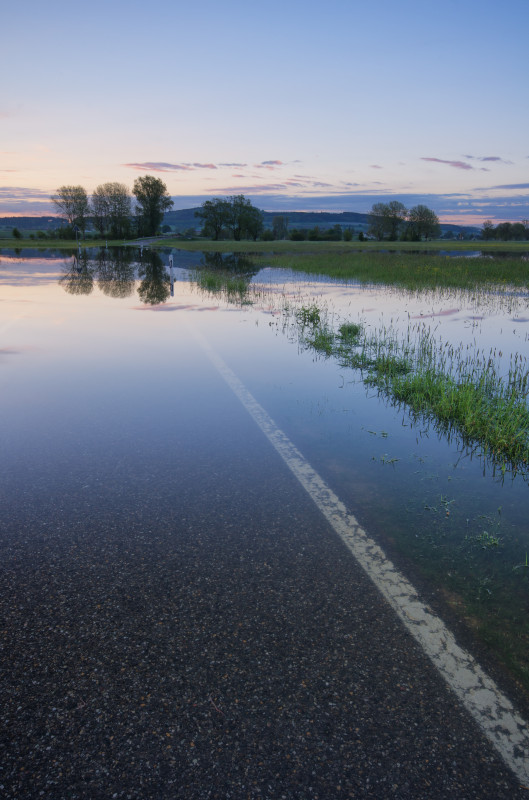 Donauhochwasser bei Daugendorf