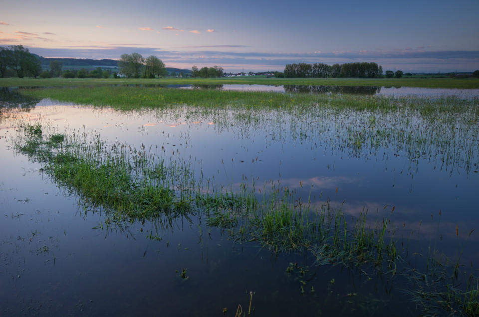 Donauhochwasser bei Daugendorf