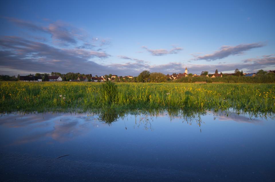 Donauhochwasser bei Daugendorf