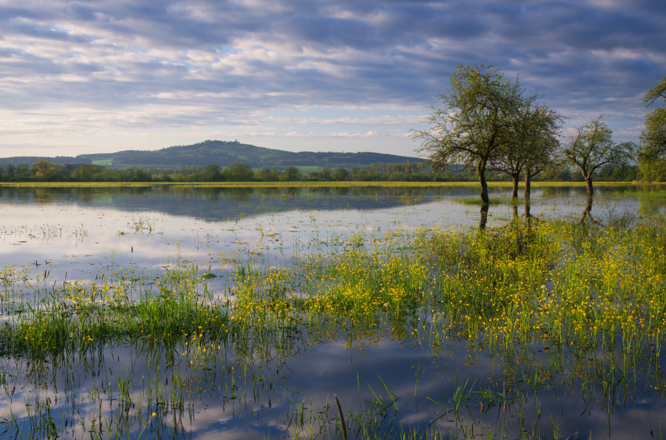 Donauhochwasser bei Bechingen