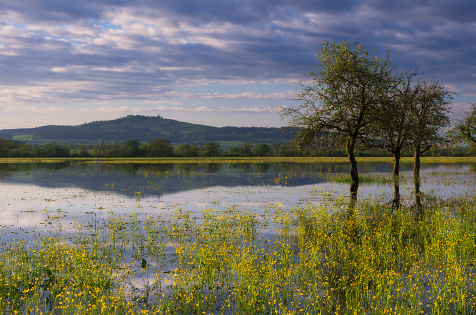 Donauhochwasser bei Bechingen