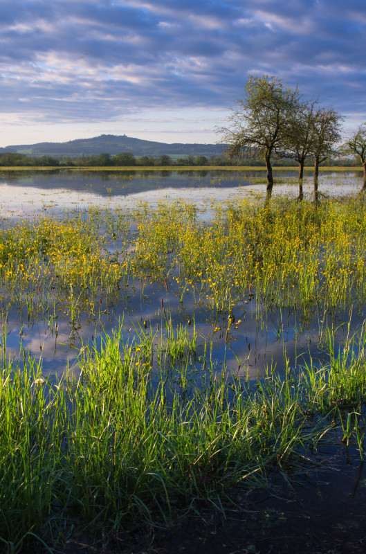 Donauhochwasser bei Bechingen