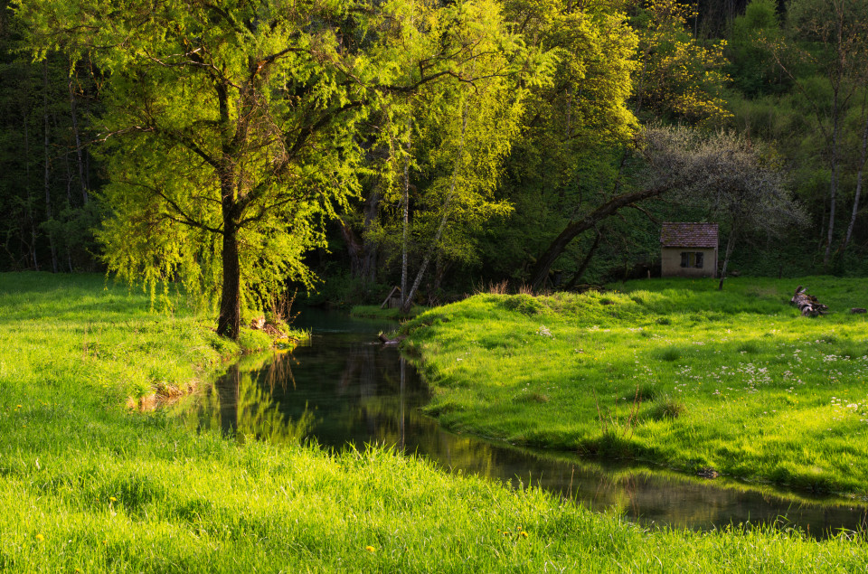 Waldlichtung im Glastal