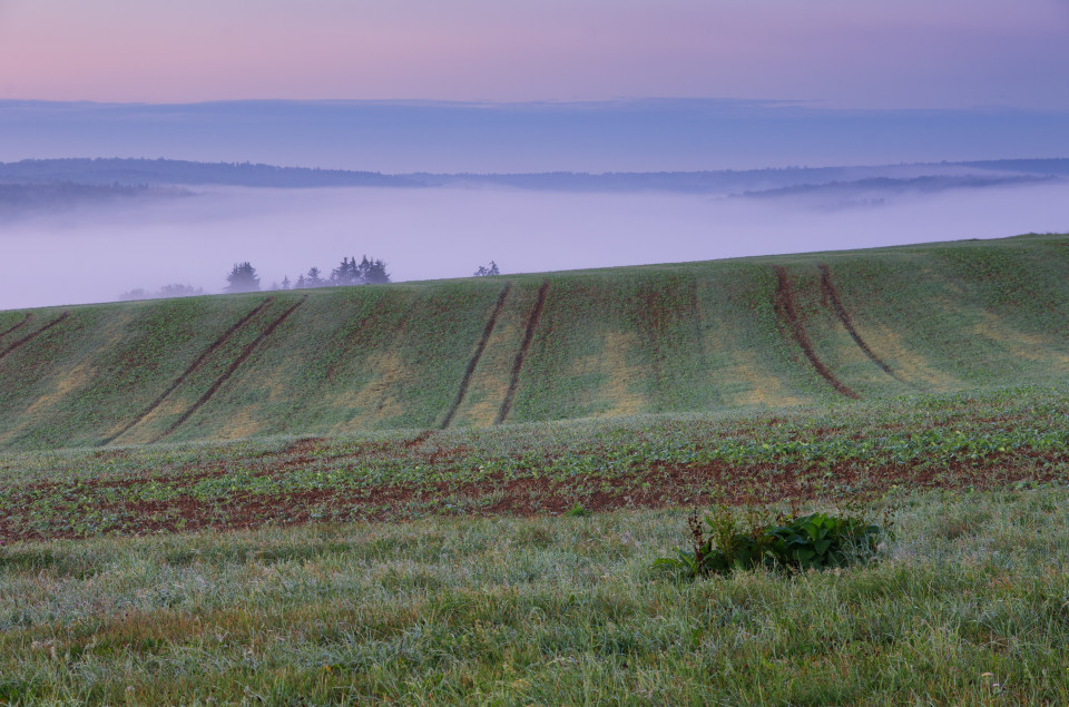 Frühnebel über dem Blautal