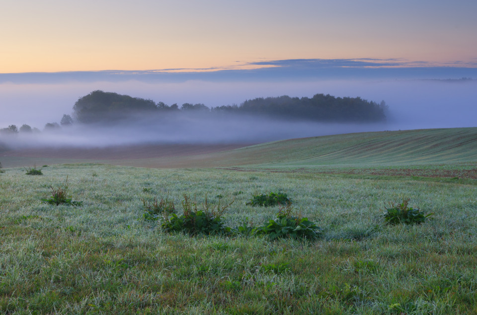 Frühnebel über dem Blautal