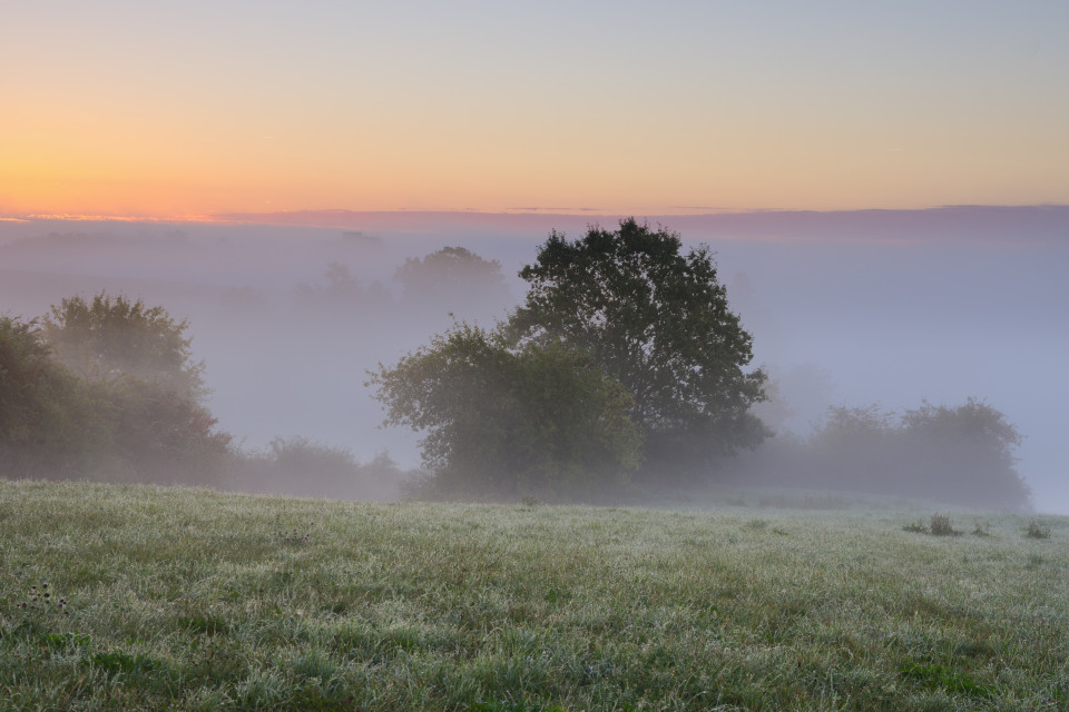 Frühnebel über dem Blautal