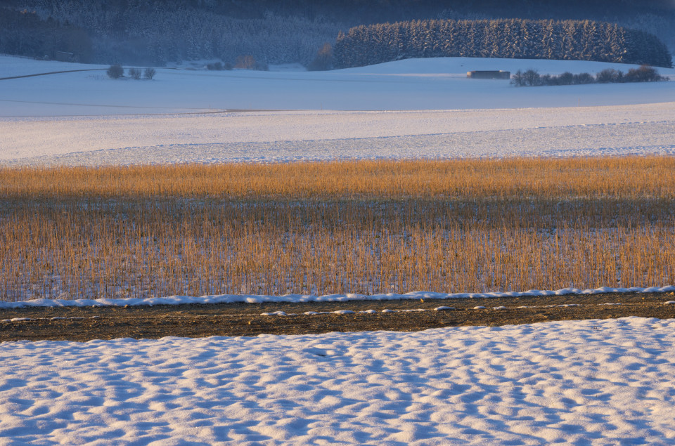 Winterlandschaft bei Westerheim