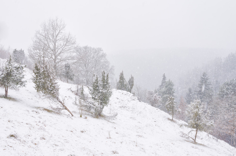 Schneefall über dem Kleinen Lautertal