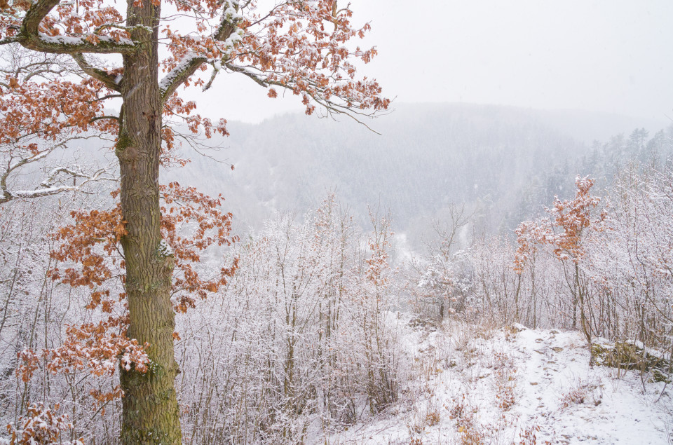 Schneefall über dem Kleinen Lautertal