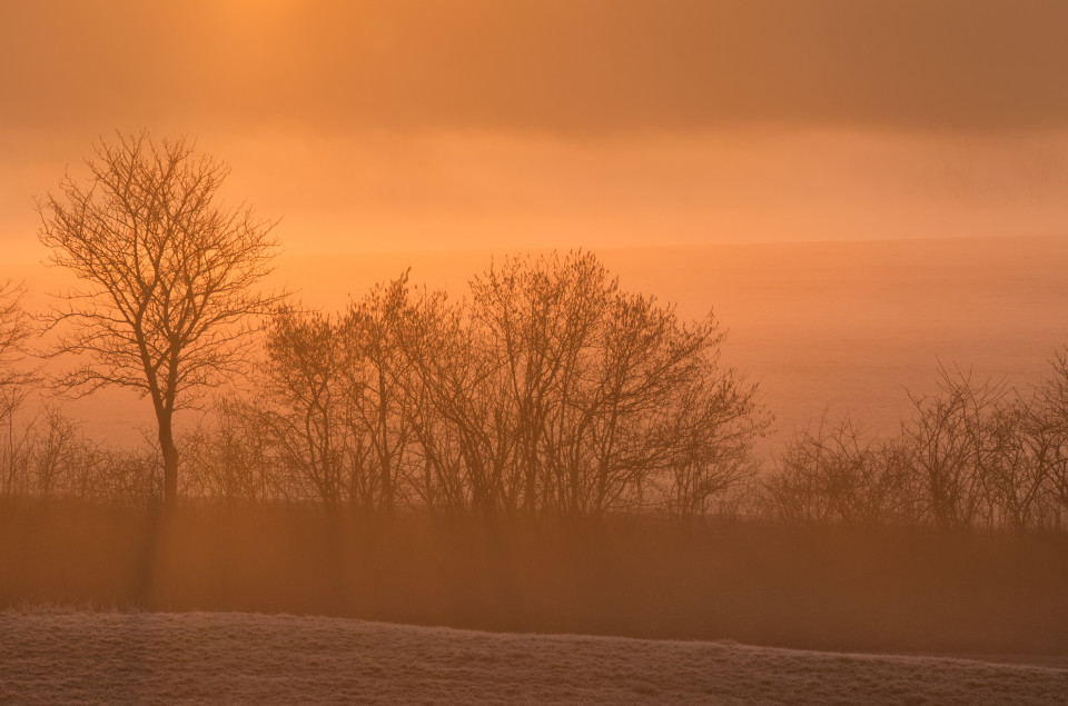 Nebelstimmung bei Sonnenaufgang