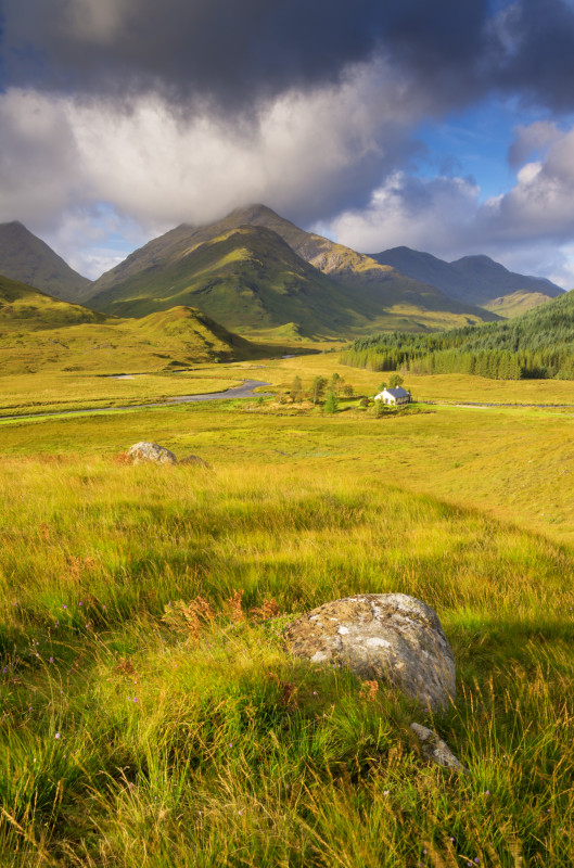 Glen Pean