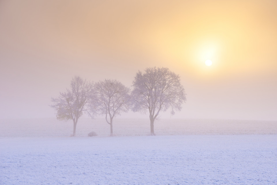 Nebel und erster Schnee bei Sonnenaufgang