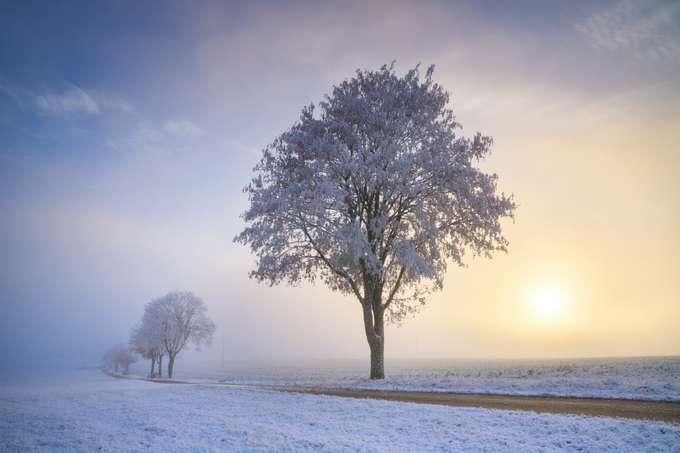 Nebel und erster Schnee bei Sonnenaufgang