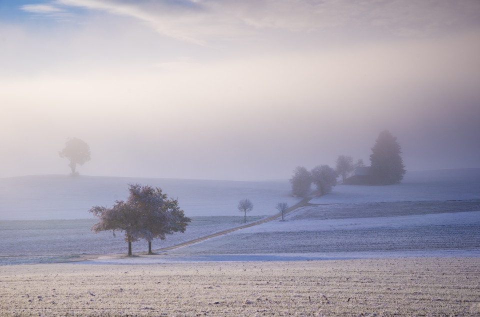 Nebel und erster Schnee