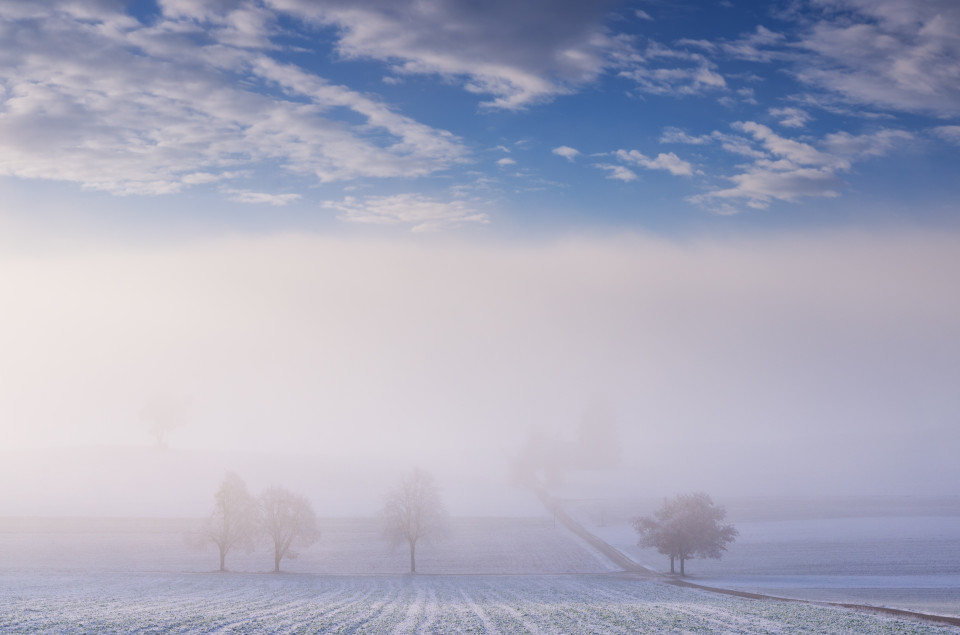 Nebel und erster Schnee