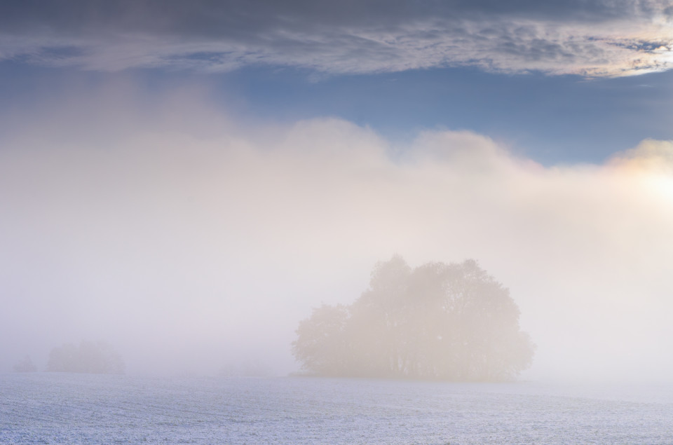 Nebel und erster Schnee