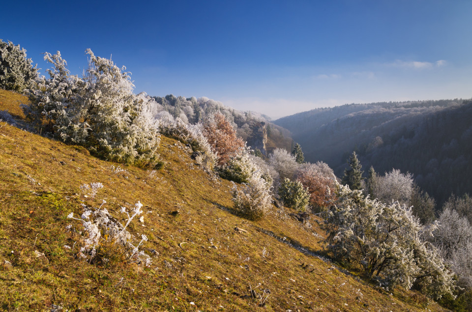 Blick ins Kleine Lautertal