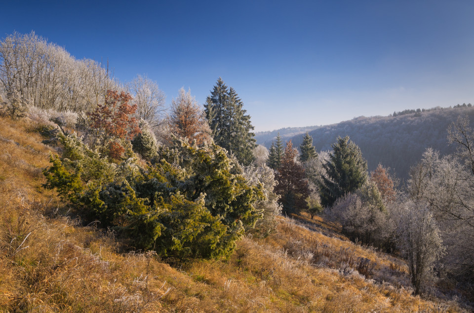 Blick ins Kleine Lautertal