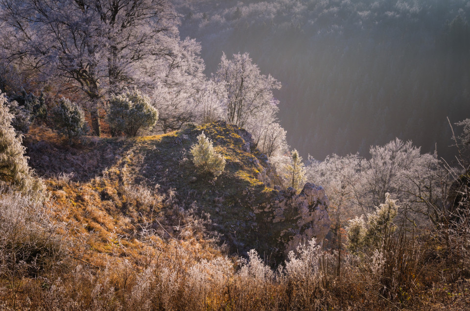 Blick ins Kleine Lautertal