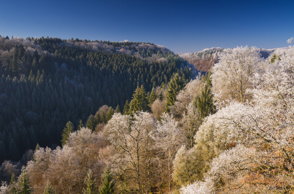 Blick ins Kleine Lautertal