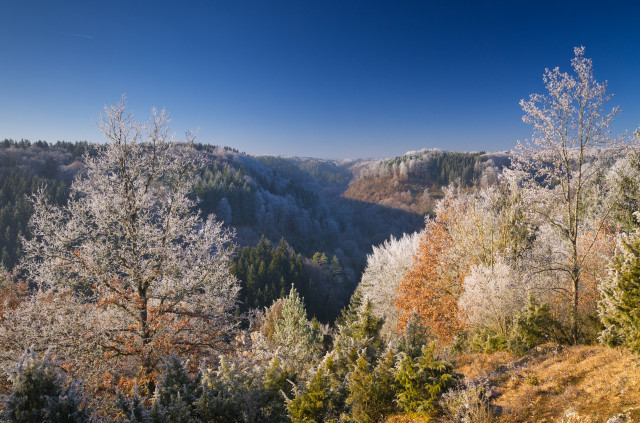 Blick ins Kleine Lautertal