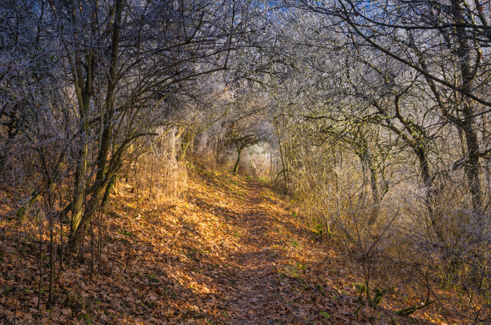 Wanderweg über dem Kleinen Lautertal