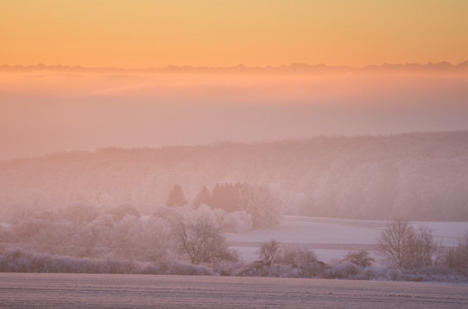 Inversion mit Alpensicht, Schneckenhäule bei Frankenhofen