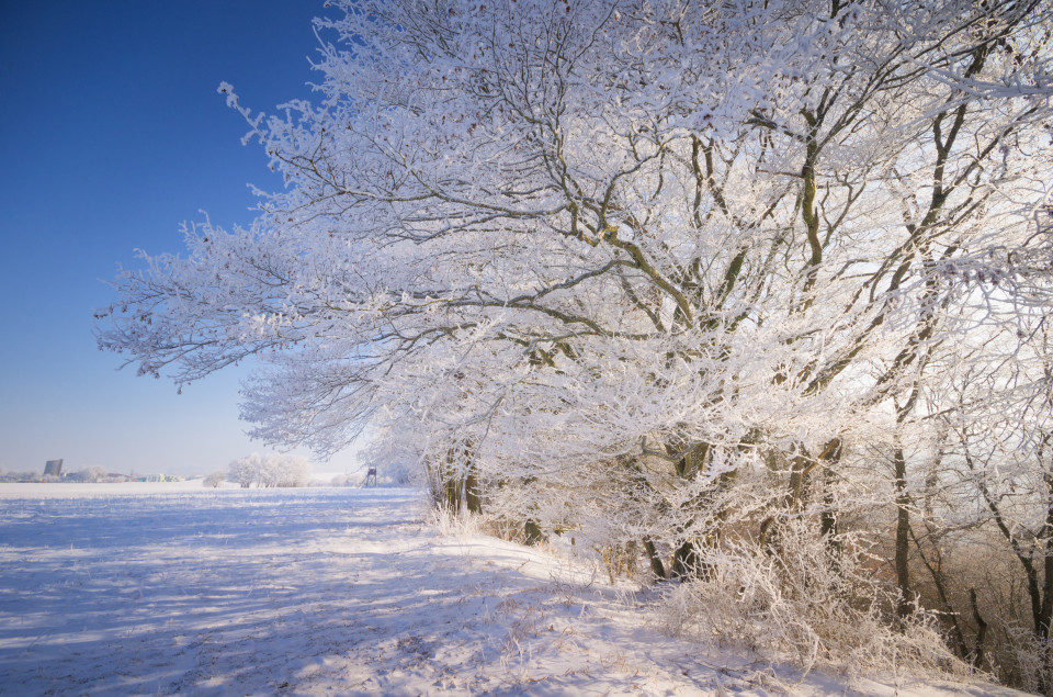 Winterlandschaft am Rand des Kleinen Lautertales