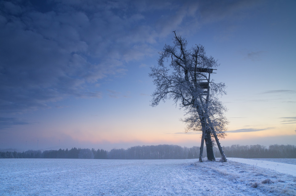 Winterlandschaft bei Westerheim