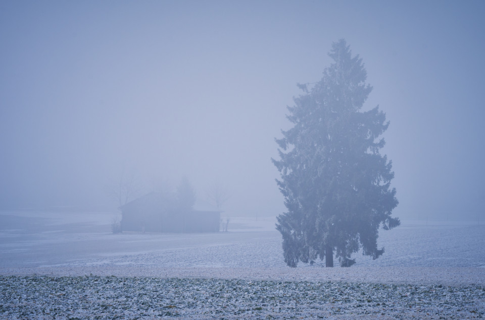 Nebliger Wintermorgen bei Westerheim