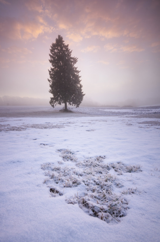 Winterlandschaft bei Westerheim