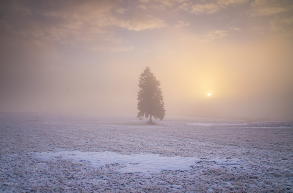 Nebliger Wintermorgen bei Westerheim