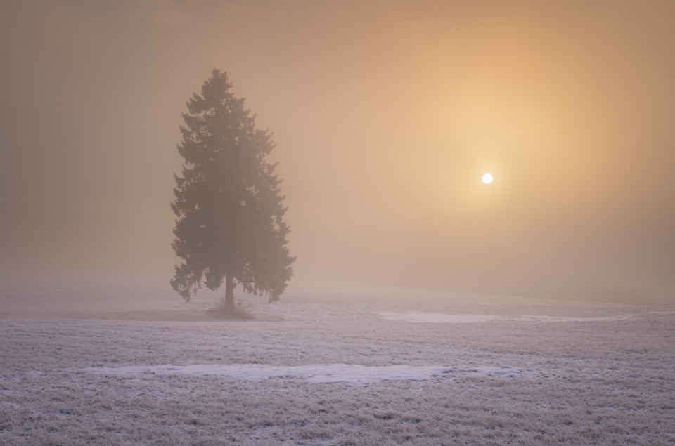 Nebliger Wintermorgen bei Westerheim