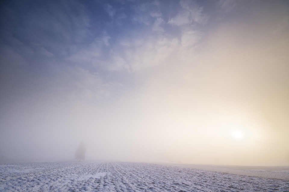 Nebliger Wintermorgen bei Westerheim