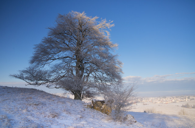Winterlandschaft bei Donnstetten
