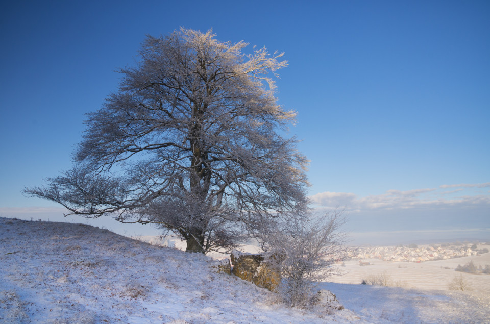 Winterlandschaft bei Donnstetten