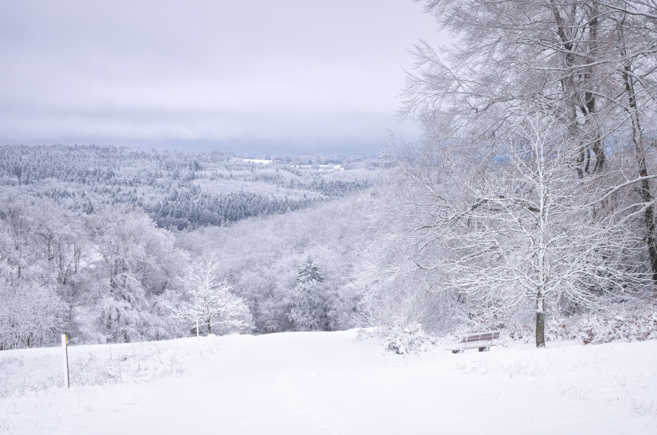 Neuschnee im Gutsbezirk Münsingen