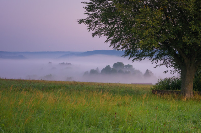 Morgenstimmung mit Nebel über dem Blautal