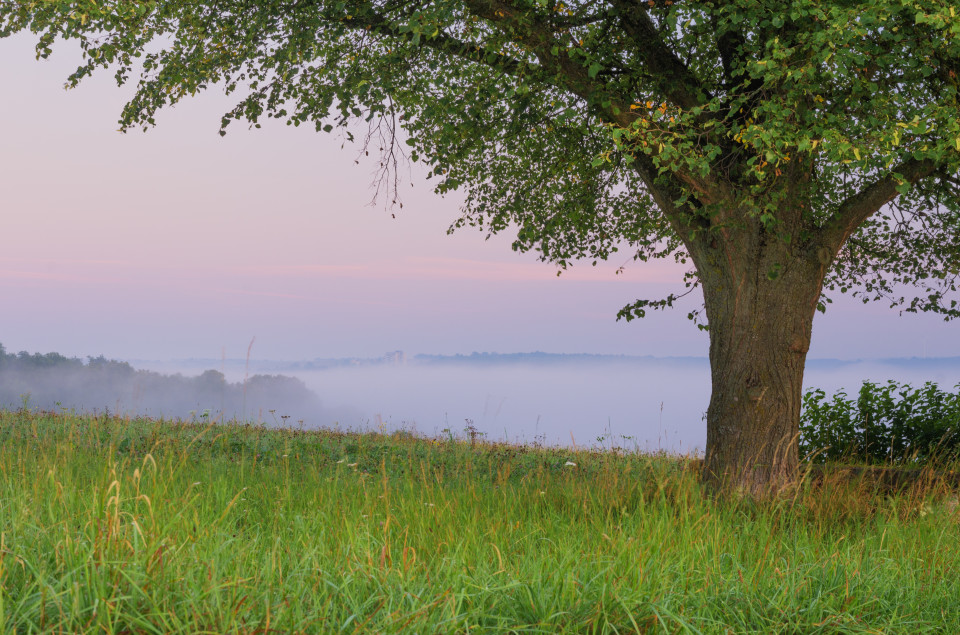 Morgenstimmung mit Nebel über dem Blautal