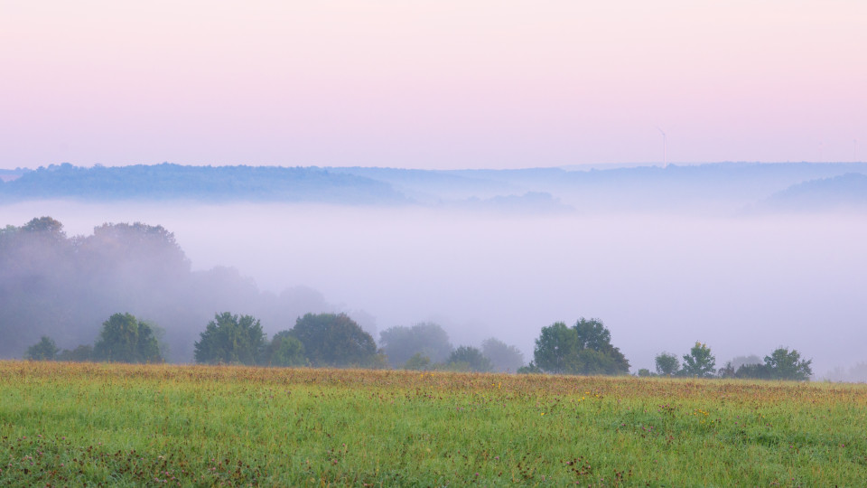Morgenstimmung mit Nebel über dem Blautal
