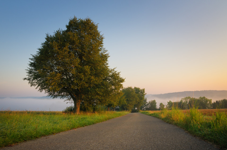 Morgenstimmung mit Nebel über dem Blautal