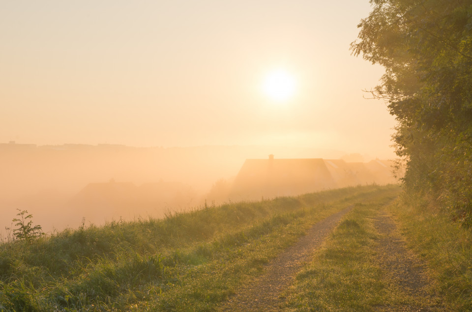 Morgenstimmung mit Nebel über dem Blautal