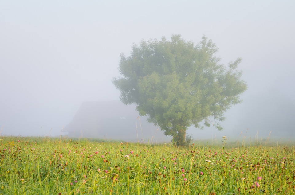 Morgenstimmung mit Nebel über dem Blautal