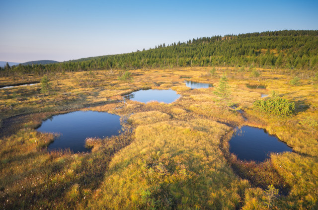 Hochmoor Na Čihadle